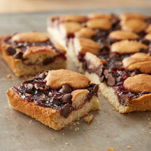 Chocolate Chips and Raspberry Bars