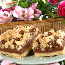 Chocolate Crumb Bars