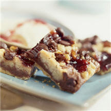 Chocolate Raspberry Streusel Squares