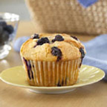 Blueberry Muffins