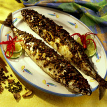 Cajun Mackerel