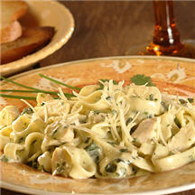 Chicken Fettuccine Recipe