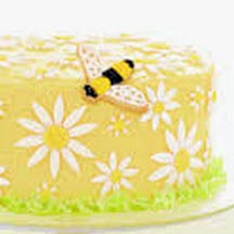 Spectacular Daisy Cake