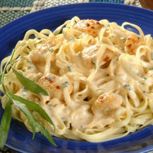 Chicken in Tarragon Cheese Sauce